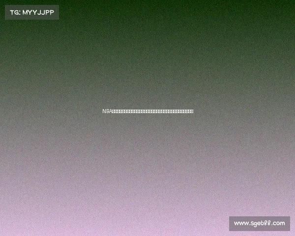 NBA火箭队激情赛事重播——重温经典对决，捕捉精彩瞬间，感受篮球魅力无限